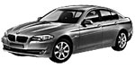 BMW F10 P1620 Fault Code